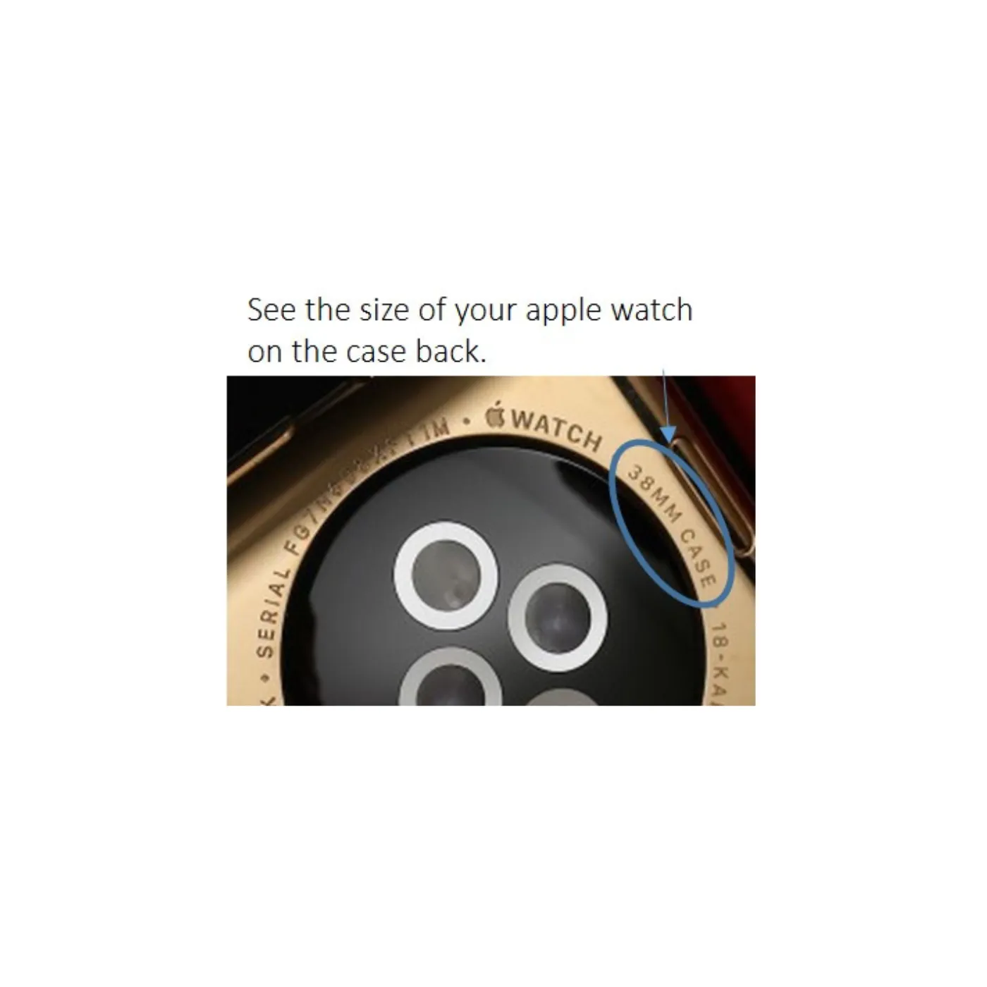 Re-sari Blue: L05 Apple Watch